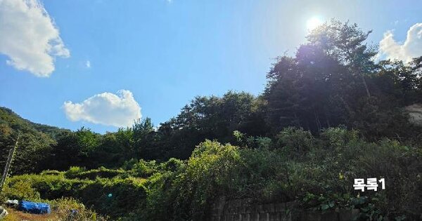 경기도 양평군 청운면 갈운리 산194-17  임야 경매 물건 이미지