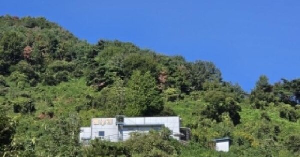 전남광주통합특별시 광양시 진월면 월길리 산100  임야 경매 물건 이미지