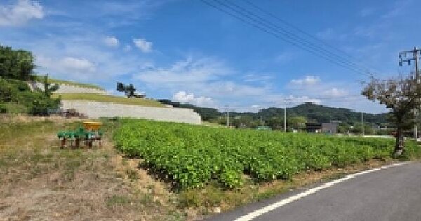 충청남도 예산군 응봉면 신리 144  전 경매 물건 이미지
