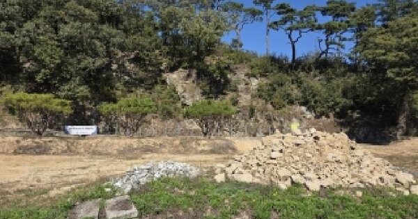 충청남도 공주시 계룡면 내흥리 529-3  임야 경매 물건 이미지