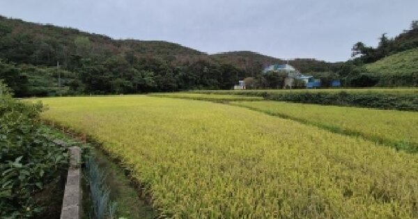 경상북도 경주시 외동읍 녹동리 255  답 경매 물건 이미지