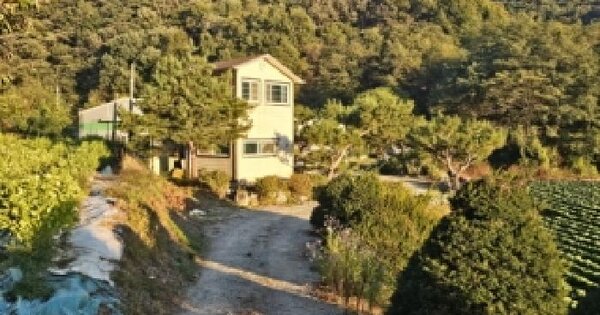 충청북도 괴산군 불정면 외령리 174  답 경매 물건 이미지