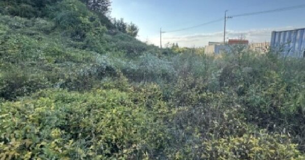 충청북도 진천군 덕산읍 구산리 431  전 경매 물건 이미지