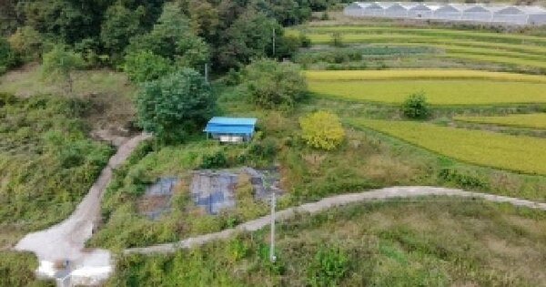 경상남도 합천군 봉산면 양지리 116  답 경매 물건 이미지