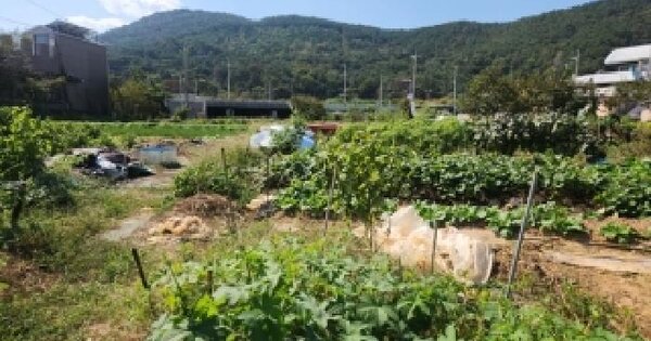 부산광역시 기장군 기장읍 죽성리 513-1  전 경매 물건 이미지