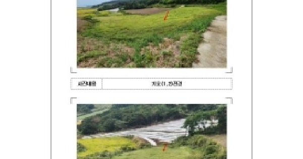 전남광주통합특별시 신안군 장산면 다수리 344  전 경매 물건 이미지