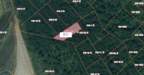 충청남도 서산시 지곡면 환성리 845-19  임야 경매 물건 이미지