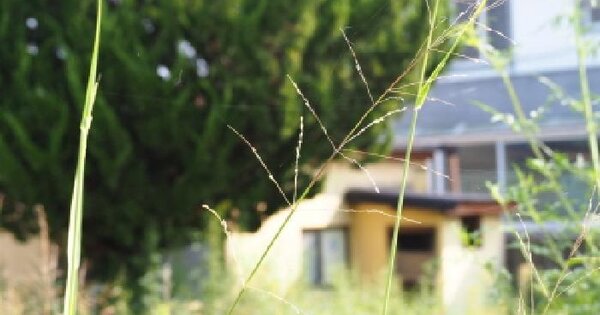 경상남도 밀양시 하남읍 수산리 458-12  분뇨 및 쓰레기처리시설 경매 물건 이미지