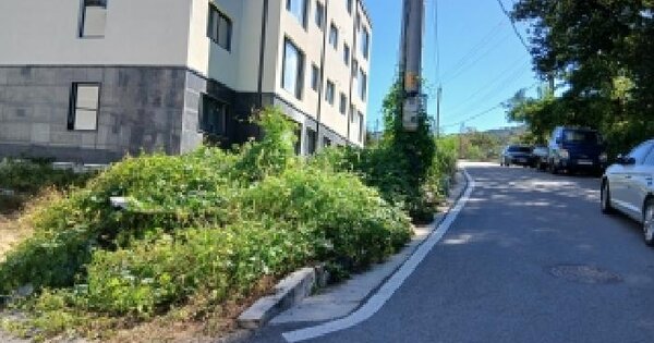 경기도 용인시 처인구 양지읍 남곡리 356  근린상가 경매 물건 이미지