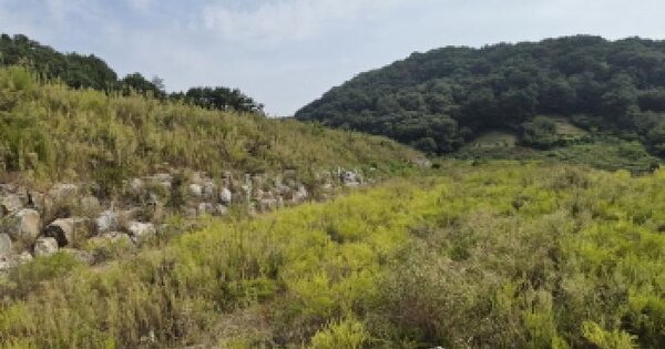 세종특별자치시  장군면 대교리 79-171  임야 경매 물건 이미지