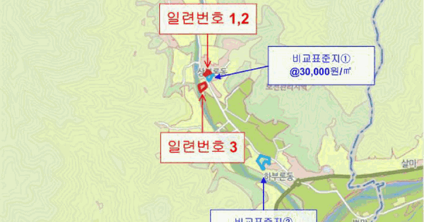 강원특별자치도 원주시 부론면 단강리 287-1  답 경매 물건 이미지