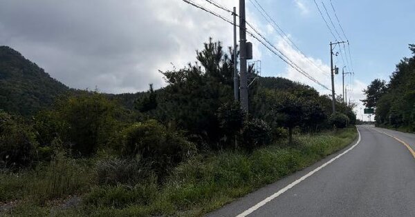 경상남도 거제시 장목면 장목리 산126-11  임야 경매 물건 이미지