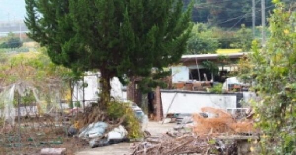 경상남도 창녕군 남지읍 용산리 447  대지 경매 물건 이미지
