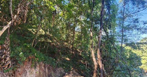 충청북도 영동군 용산면 미전리 392-4  전 경매 물건 이미지