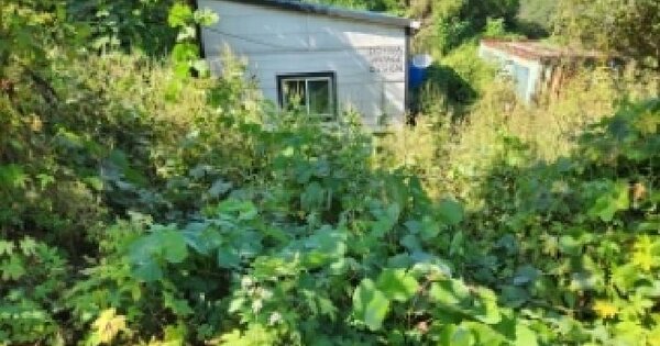 경기도 동두천시 탑동동 486-8  대지 경매 물건 이미지
