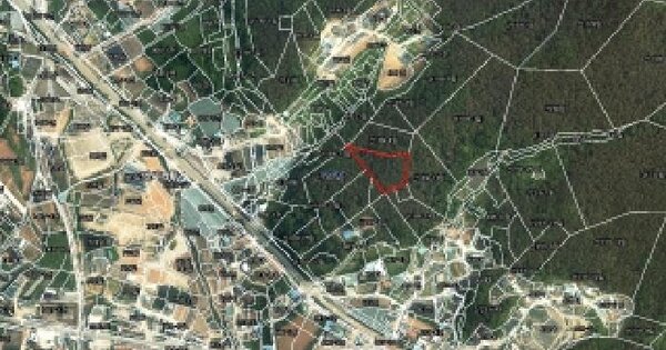 경기도 안산시 단원구 대부동동 산189-15  임야 경매 물건 이미지