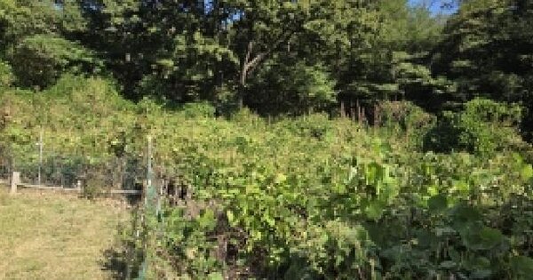 경기도 고양시 덕양구 덕은동 385-1  전 경매 물건 이미지