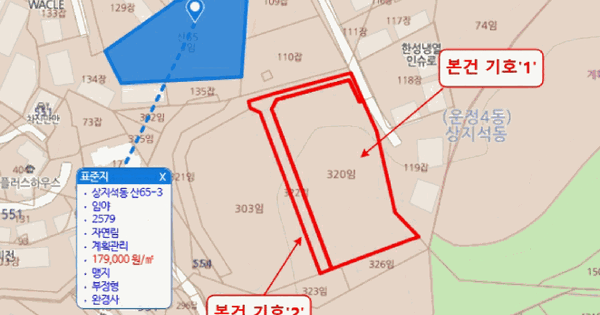 경기도 파주시 상지석동 554-320  임야 경매 물건 이미지