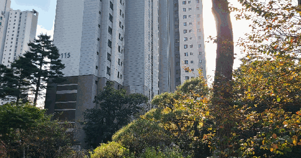 서울특별시 강남구 개포동 1282 개포래미안포레스트 115동 11층1102호 미지정 경매 물건 이미지
