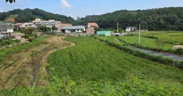 충청남도 예산군 덕산면 옥계리 141-16  답 경매 물건 이미지