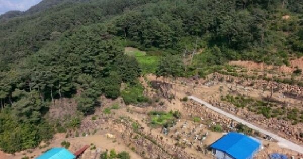 경상남도 함양군 휴천면 송전리 847  임야 경매 물건 이미지