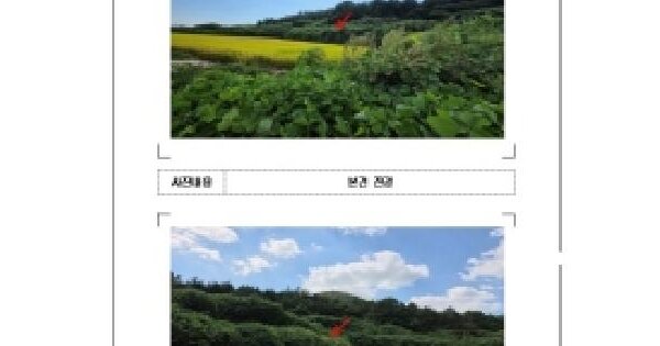 전남광주통합특별시 영암군 서호면 쌍풍리 산145  임야 경매 물건 이미지