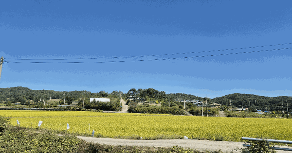 세종특별자치시  장군면 태산리 188-40  임야 경매 물건 이미지
