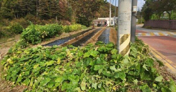 경기도 가평군 설악면 미사리 293-16  전 경매 물건 이미지