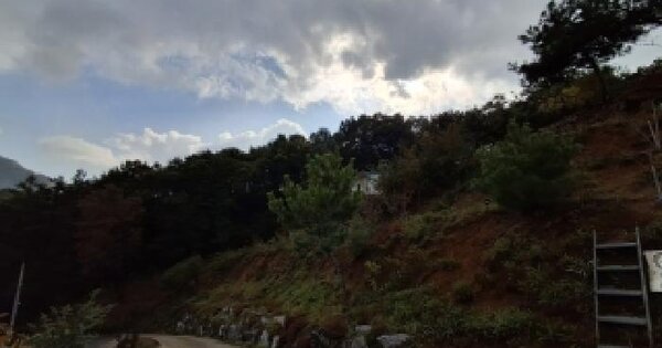 경기도 광주시 곤지암읍 삼합리 166-1  임야 경매 물건 이미지