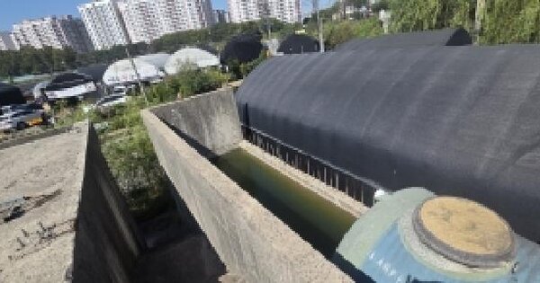 경기도 고양시 일산동구 백석동 451-4  답 경매 물건 이미지