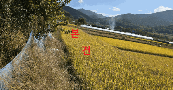 대구광역시 달성군 화원읍 명곡리 440-1  답 경매 물건 이미지
