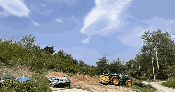 강원특별자치도 고성군 죽왕면 가진리 96-3 전 경매 물건 이미지