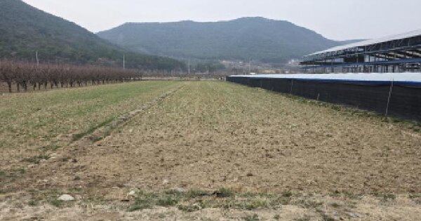 경상북도 청도군 금천면 임당리 1238-1 답 경매 물건 이미지
