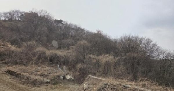 경상남도 김해시 생림면 봉림리 산213 임야 경매 물건 이미지