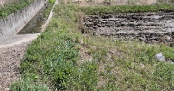 강원특별자치도 고성군 죽왕면 삼포리 1068-2 답 경매 물건 이미지
