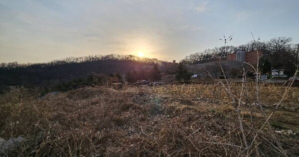 경기도 이천시 사음동 150-1 답 경매 물건 이미지