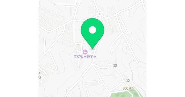 경기도 파주시 상지석동 554-300 리벤시아 102동 2층202호 다세대주택 경매 물건 이미지