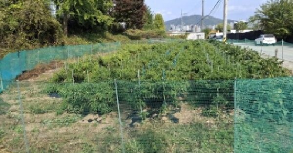 경기도 광주시 탄벌동 449-1  전 경매 물건 이미지