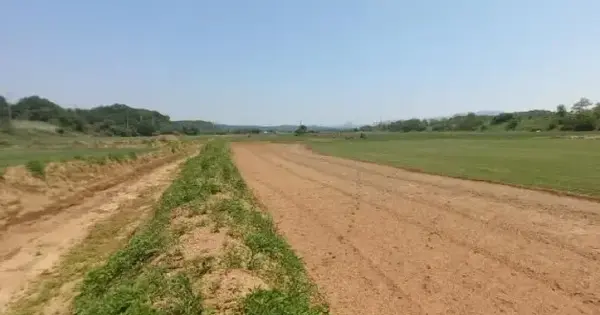경기도 연천군 장남면 원당리 116 잡종지 경매 물건 이미지