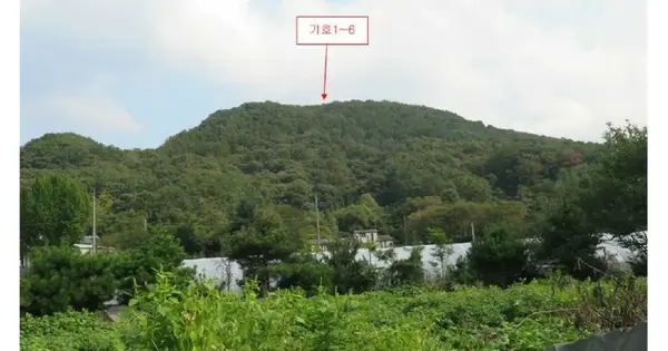 경기도 양평군 양서면 도곡리 265-3 임야 경매 물건 이미지