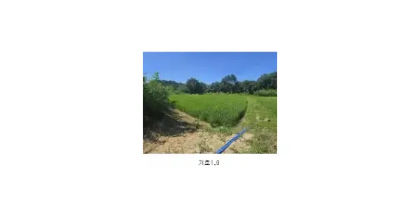 강원특별자치도 고성군 죽왕면 가진리 320 전 경매 물건 이미지