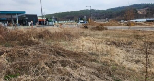 경기도 양주시 마전동 459-1 대지 경매 물건 이미지
