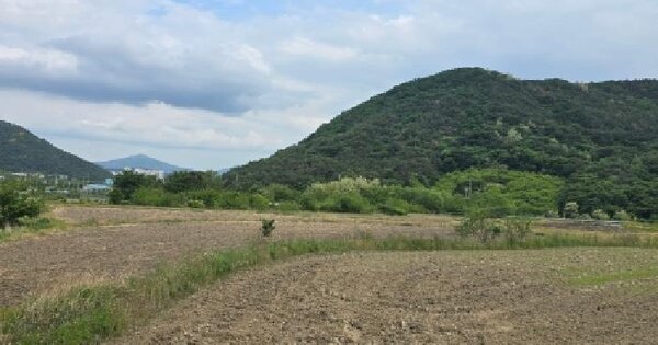 울산광역시 울주군 상북면 길천리 66 답 경매 물건 이미지