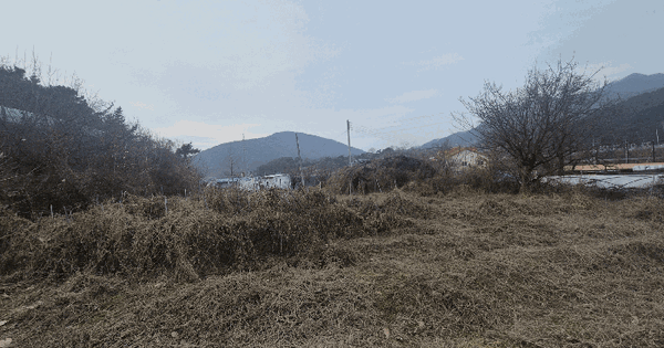 경상북도 칠곡군 석적읍 망정리 918-1 전 경매 물건 이미지