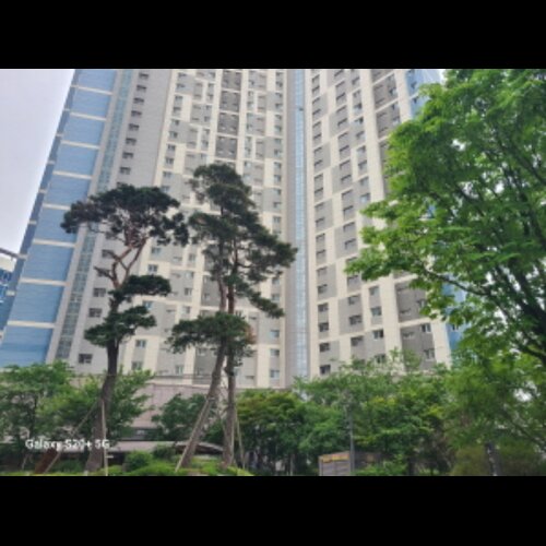 물건 사진