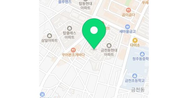 충청북도 청주시 상당구 금천동 199-1 현대아파트 상가동 3층311호 아파트 경매 물건 이미지