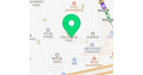 서울특별시 강서구 화곡동 917-1 양지  제10층 제1002호 미지정 경매 물건 이미지