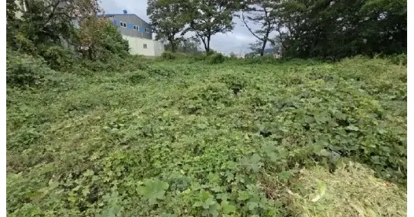 경상남도 양산시 상북면 소석리 573-1 답 경매 물건 이미지