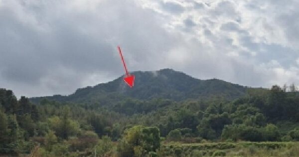 강원특별자치도 횡성군 횡성읍 생운리 산19-6  임야 경매 물건 이미지