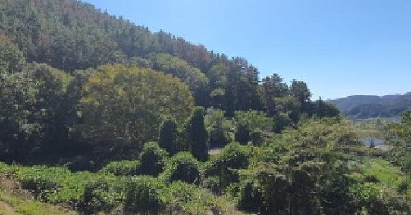 경상남도 창원시 마산합포구 진동면 진동리 803  전 경매 물건 이미지
